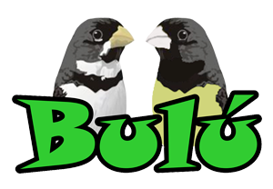 logo.png (54 KB)