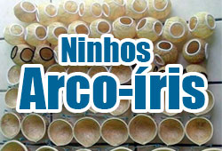 Ninhos Arco-iris